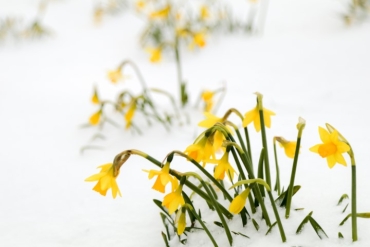 Winterurlaub